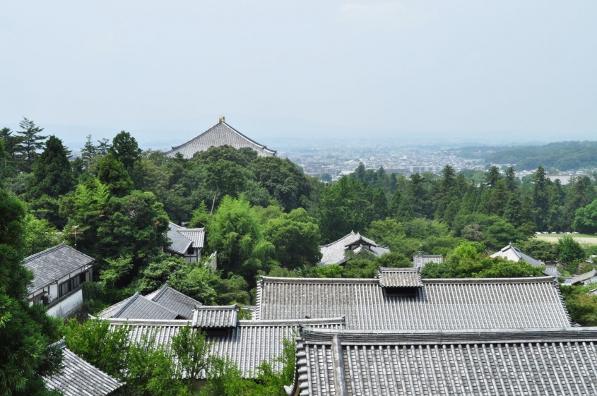 写真はイメージです