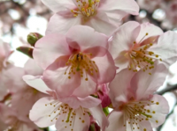 特定非営利活動法人イマジンのプレスリリース画像