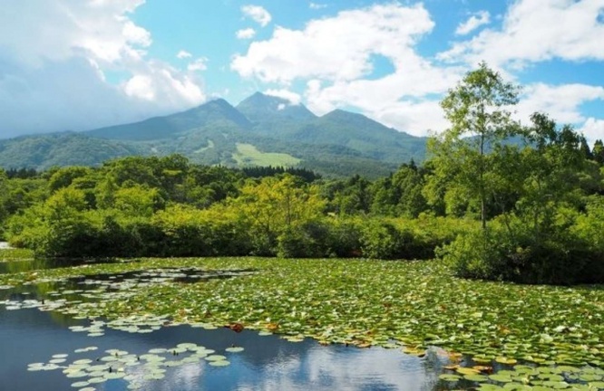 偶然知り合ったおばあさんと山へ（画像はイメージ）