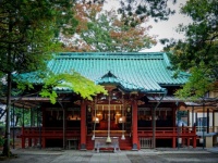 【恋愛成就】東京のおすすめ神社10選