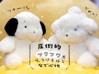白くてもっちり。「ココモとスモア」がぬいぐるみになって登場！