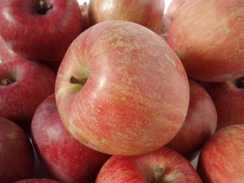 サンふじ（Batholithさん撮影、Wikimedia Commonsより）