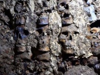 頭蓋骨を並べたアステカの祭壇「フエイ・ツォンパントリ」が発掘される（メキシコ）
