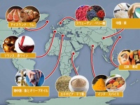 日本食は世界一の健康食：世界8つのおいしくヘルシーな健康食