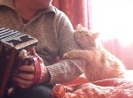 キスしたり抱きついたり…　ご主人に甘える猫ちゃんに胸キュンしちゃう。