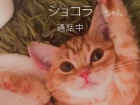 トレンダーズ株式会社のプレスリリース画像