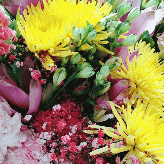 インスタグラム：桐谷美玲(@mirei_kiritani_)より