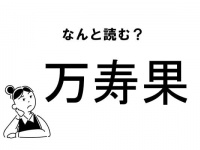 【難読】“まんじゅか”ってなに！？「万寿果」の正しい読み方