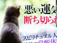 Dream Art Laboratoryのプレスリリース画像
