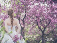 結婚式だけじゃない。「大安」に行われやすい行事7つ