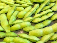 農家直伝！枝豆の〝新しい楽しみ方〟に4.8万人感激　「無限に食べちゃう」「今まで見た枝豆で1番美味しそう」