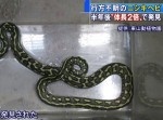 “体長◯倍”？　正月から脱走していた“東山動物園のヘビ”が発見されたが…