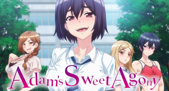 株式会社彗星社のプレスリリース画像