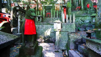 画像はイメージです（Perry Liさん撮影、Flickrより）