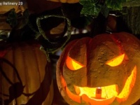米国人がハロウィンにかける予算はどれくらい？