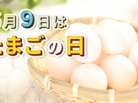 株式会社サイプラスのプレスリリース画像