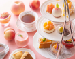 みなとみらいPRセンターのプレスリリース画像