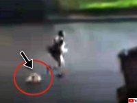 盗んだトラックでパトカーと激しいカーチェイスを繰り広げた容疑者がカツラを落として逃走