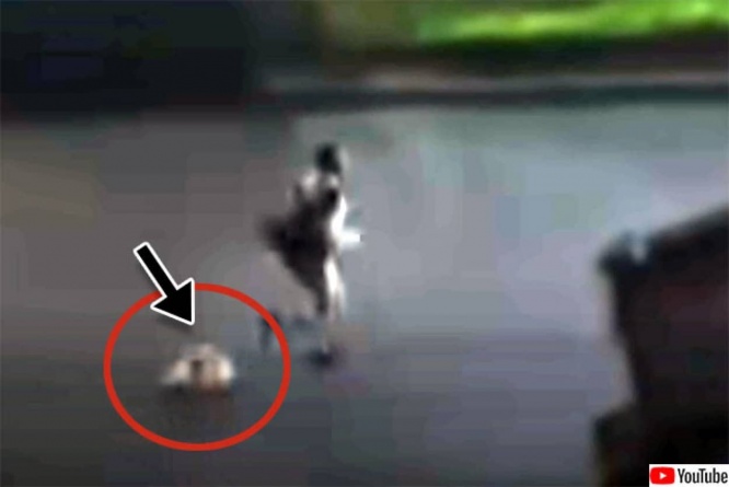 盗んだトラックでパトカーと激しいカーチェイスを繰り広げた容疑者がカツラを落として逃走