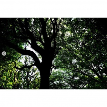 インスタグラム：Cocomi(@cocomi_553_official)より