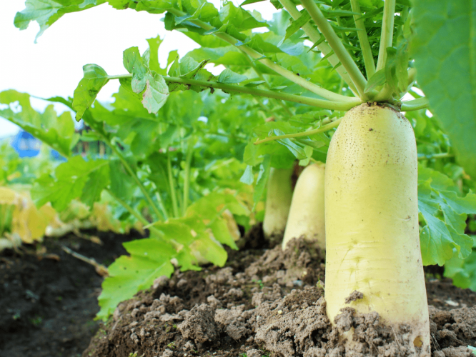 ※画像はイメージです