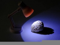 サイコパスの脳の違いを発見。一般の人に比べ線条体が大きいことが判明