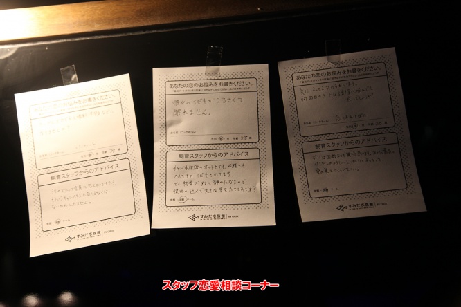 スタッフ恋愛相談