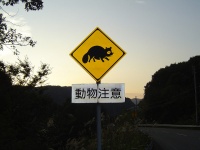 動物注意の標識（contriさん撮影、Flickerより）