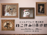 猫好き感涙ものの企画