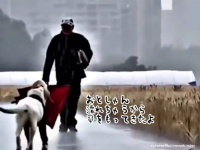 「おとしゃん、これこれ！」雨の中、お父さんに傘をとどける犬のやさしい世界