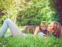 猫を抱きしめ、モフることで得られる6つの効能