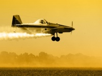 聖水を農薬散布機で上空から散布「町全体に祝福を」（米カトリック教会）