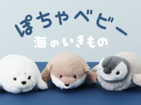 ブルーブルーエジャパン株式会社のプレスリリース画像