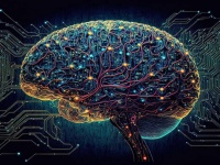 塩と水を使用し人間の脳細胞のように動くバイオコンピュータが開発される