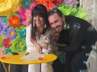 ほな肉球ポンしてやるにゃ。猫が結婚許可証の証人としてサイン、コロラド州では合法