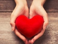 Female hands giving red heart