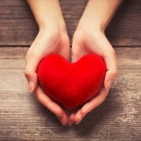 Female hands giving red heart