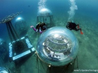 海でレタスやトマトが収穫できるんです。世界初の水中農園で野菜を栽培するプロジェクト