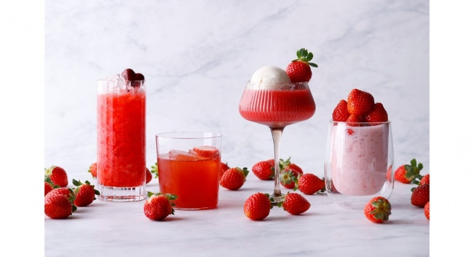 みなとみらいPRセンターのプレスリリース画像