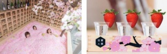 お花見は事前の情報収集が明暗をわける！？　「レッツエンジョイ東京」で「お花見特集2019」