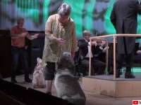 オーケストラの生演奏に3匹の犬が出演。モーツァルト父の「狩猟交響曲」を熱吠