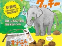 「ぞうのふんみたいなクッキー」チラシ（画像提供：キッズプロモーション）