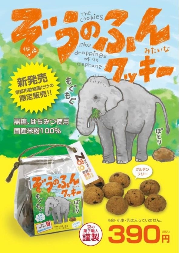 「ぞうのふんみたいなクッキー」チラシ（画像提供：キッズプロモーション）