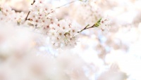 「かわいい子争奪戦」「タダ飯目的」大学のサークル新歓あるある8選！