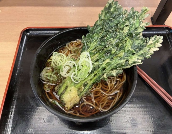 画像は再掲