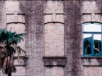 実はこんな理由があった。イギリスの建物の窓の一部がレンガで覆われている理由