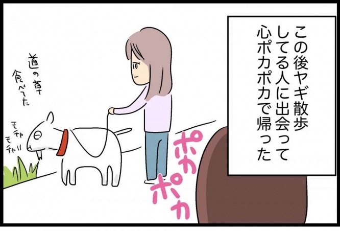 ヤギと散歩...！？（画像提供は人間まお＠ageomaoさん）