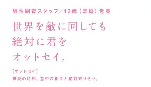 告白ワード