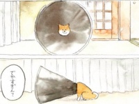 「メガホンおばけだ」「蓄音機かな？」　まさかの姿の柴犬に2.8万人もん絶