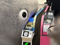 東急「のるるん」に付いていったら→大変なことに！？　愛おしすぎる〝伝統芸〟で1万人にっこり